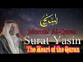Download Lagu The Heart of the Quran [Yasin] beautiful recitation by Sheikh Mukhtar Al Hajj