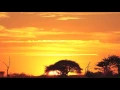 Download Lagu Nick Holder - Summer Daze (Afrikan Roots Afro Touch Mix)
