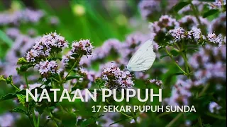 Download NATAAN PUPUH - 17 SEKAR PUPUH SUNDA MP3
