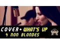 Lagu Cover What's Up - 4 Non Blondes ( Banda Almanak )  - Acústico (Unplugged)