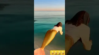 شفا شفاشفا شفا شفا2القطط شفا شفا شفا شفن 