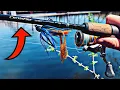 Daiwa Crossfire Review ONLY 20