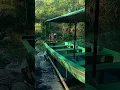 Download Lagu Hidup itu seperti perahu di sungai yang tenang... #katakatabijak #perahu #shorts