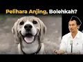 Download Lagu Orang Islam Memelihara Anjing Bolehkah Gus Baha?