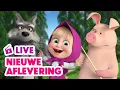 Download Lagu LIVE 🔴 Masha en de Beer 👱‍♀️🐻 Nieuwe aflevering 🎈 Het biljart toernooi 🎲