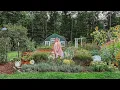 What 5 Years of Gardening Actually Looks Like FULL TOUR