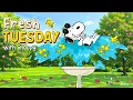 Sunny Tuesday with Snoopy Happy Morning Music for Relaxing Summer Day by Jazzy