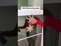 Easy Christmas window decor