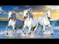 Download Lagu A Beautiful Melody That Brings Tears To My Eyes! The Most Beautiful Melody In The World! You Can ...