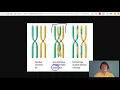 MCAT Question of the Day Chromosome vs Chromatid vs Tetrad
