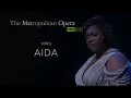 The Met Live in 2024-25 Aida Trailer