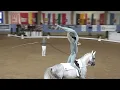 Download Lagu Deutsche Junioren Meisterschaft München 2025 - Doppelvoltigieren - Jana Düllmann / Fabio Ring