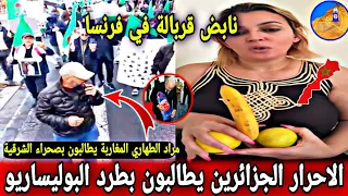 قربالة في الصحراء الغربية المغربية تندوف البوليساريو الملك محمد السادس 