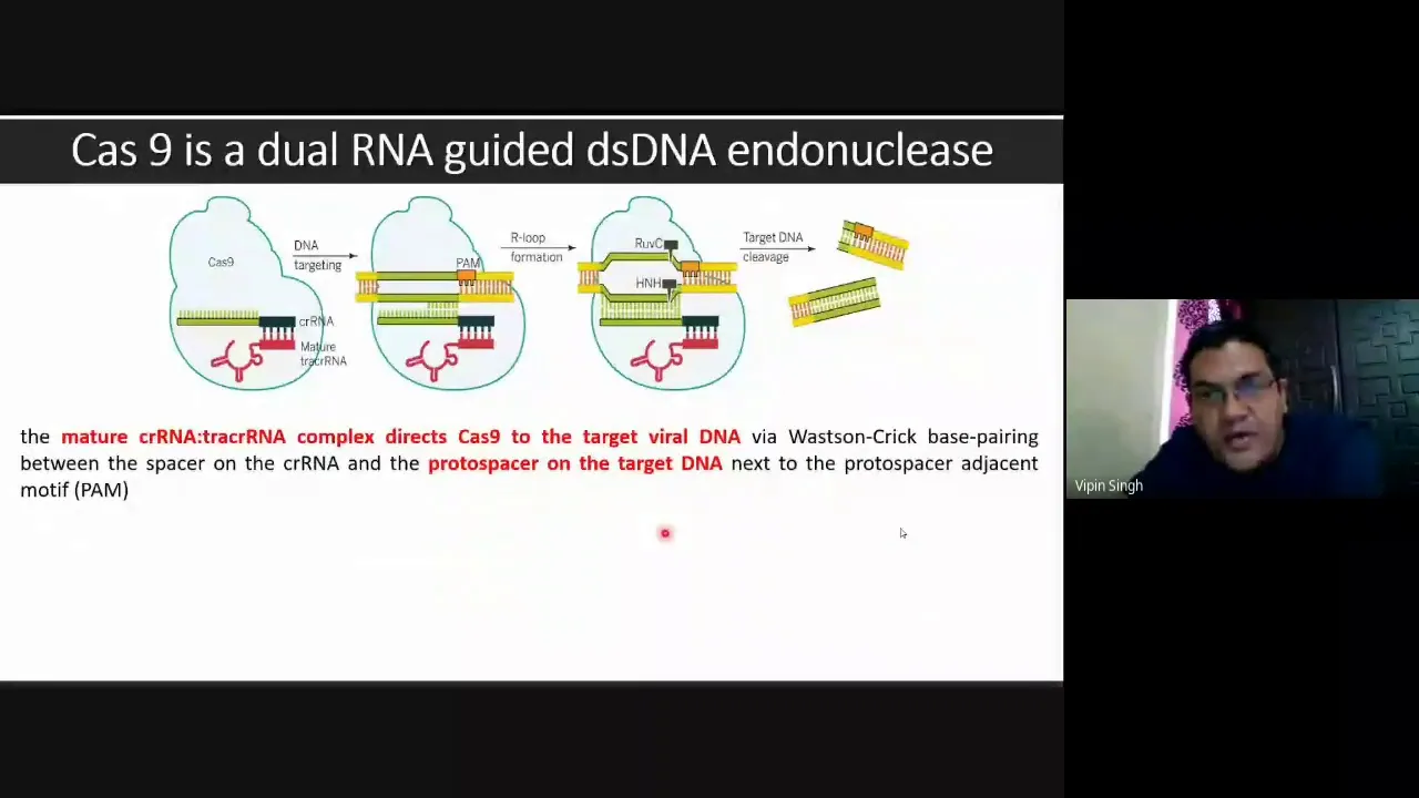 CRISPR CAS - Genome editing and beyond !