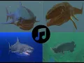 Download Lagu Fish feed and grow: Boss theme (along with great white vs megalodon gameplay)