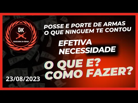 Download MP3 Posse e Porte Efetiva Necessidade - O que é? Como Fazer? - O que ninguem te contou.