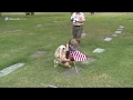 Flag dedication at Restland Memorial Park