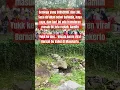 Download Lagu Wisata keren viral Bernah De Vallei di Mojokerto Jawa Timur #wisataalam #wisataindonesia #shorts #dj