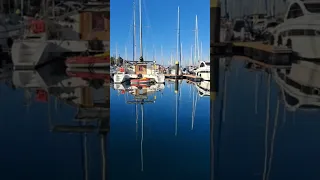 Port Moselle, New Caledonia ⛵ Stunning Calm Water in the Pacific | Marina Views #shorts