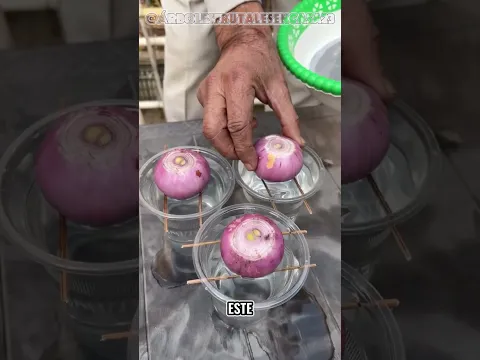 Parece un invento extraño… hasta que descubrís qué puede crecer dentro de esa botella 😳