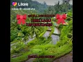 Download Lagu Lirik lagu linting daun