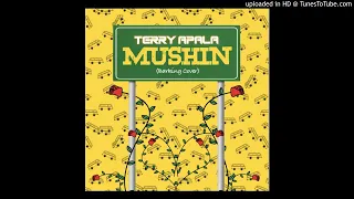 terry apala mushin barking cover 