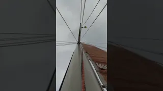 #sailing #boat #sails