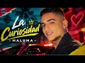 La Curiosidad | Maluma [Official Auido] IA Cover - Letra/Lyric