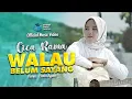 Download Lagu Cica Rama - Walau Belum Sayang (Official Music Video)