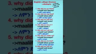 Englishlearning English Sentences To Afan Oromo English To Amharic Ethiopia Ethiopianews  Englishlearning English Sentences To Afan Oromo English To Amharic Ethiopia Ethiopianews