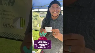 Use your LINK card to get more fruits and vegetabls at Farmers Markets in IL