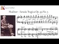 Medtner - Sonata Tragica Op. 39 No. 5 (Tozer, Sudbin)