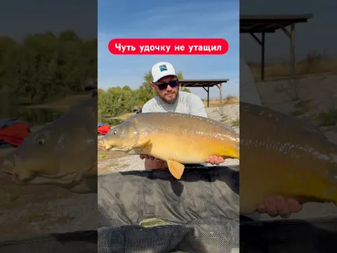 😱Ужас какой красивый #флэтметод #зеркальныйкарп #карп #карпнафлэт #флэтфидер #carpfishing