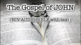 The GOSPEL OF JOHN NIV BIBLE with text
