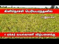 Lagu பெரியபரந்தனில்  4 ஏக்கர் வயல்காணி விற்பனைக்கு | Kilinochchi real estate | Jaffna land for sale |