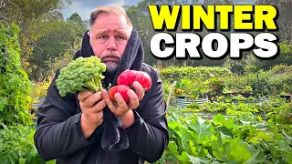 Why Winter is the BEST Time to Grow Vegetables