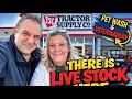 Tractor Supply Live Stock Vet Services WHAT