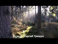 Download Lagu СЕРГЕЙ ГРИЩУК,,ОСЕНЬ,,МУЗЫКА ДЛЯ ДУШИ