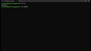 Linux Disk Management lsblk Command