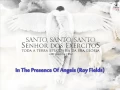 Download Lagu In The Presence Of Angels (Roy Fields)