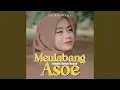 Download Lagu Meulabang Asoe (Jungle Dutch Remix)