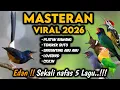 Lagu Sekali nafas 5 materi !! MASTERAN MURAI BATU ISIAN KEKINIAN SUPER MEWAH