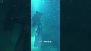 That Time We Cornered a SEVERAL Hundred Pound fish CAVE Diving