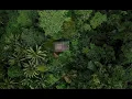 Lagu Live Jungle Mix Ubud Bali | Best Afro House \u0026 Melodic Techno DJ Set by Jullisoul 2025