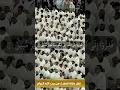 Download Lagu Quran Surah Adh-Dhariyat 47-51 , Sheikh Sudais #mecca #islamicrecitation #live