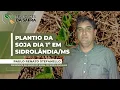 Download Lagu Sidrolândia/MS espera iniciar plantio da soja no dia 1º de outubro
