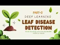 Leaf Disease Detection Part 2 - Model Building with EfficientNetB4 VGG16 VGG19