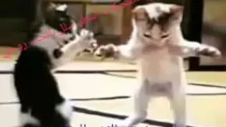 مين حبيب بابا  ندا قلب بابا     ههههههههه بضحكني الصراحه دندنها