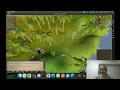 OSRS Guide - Shortcut to Apetoll Teak Logs