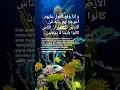Download Lagu Firman ﷲ QS. An-Naml 82. qori KH. Muammar ZA #youtubeshorts #youtube #musabaqoh